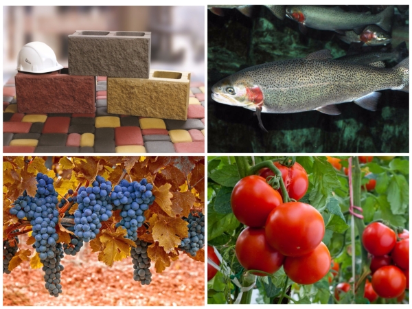 Другие приоритетные секторы